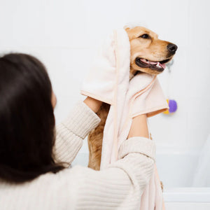 Crate 61 Pet Shampoo Bar - Cedarwood & Patchouli 110g