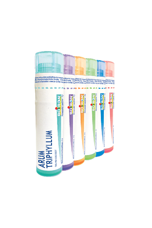 Boiron Arum Triphyllum 30CH 80 Pellets