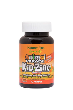 Animal Parade Kids Zinc Lozenges 90s