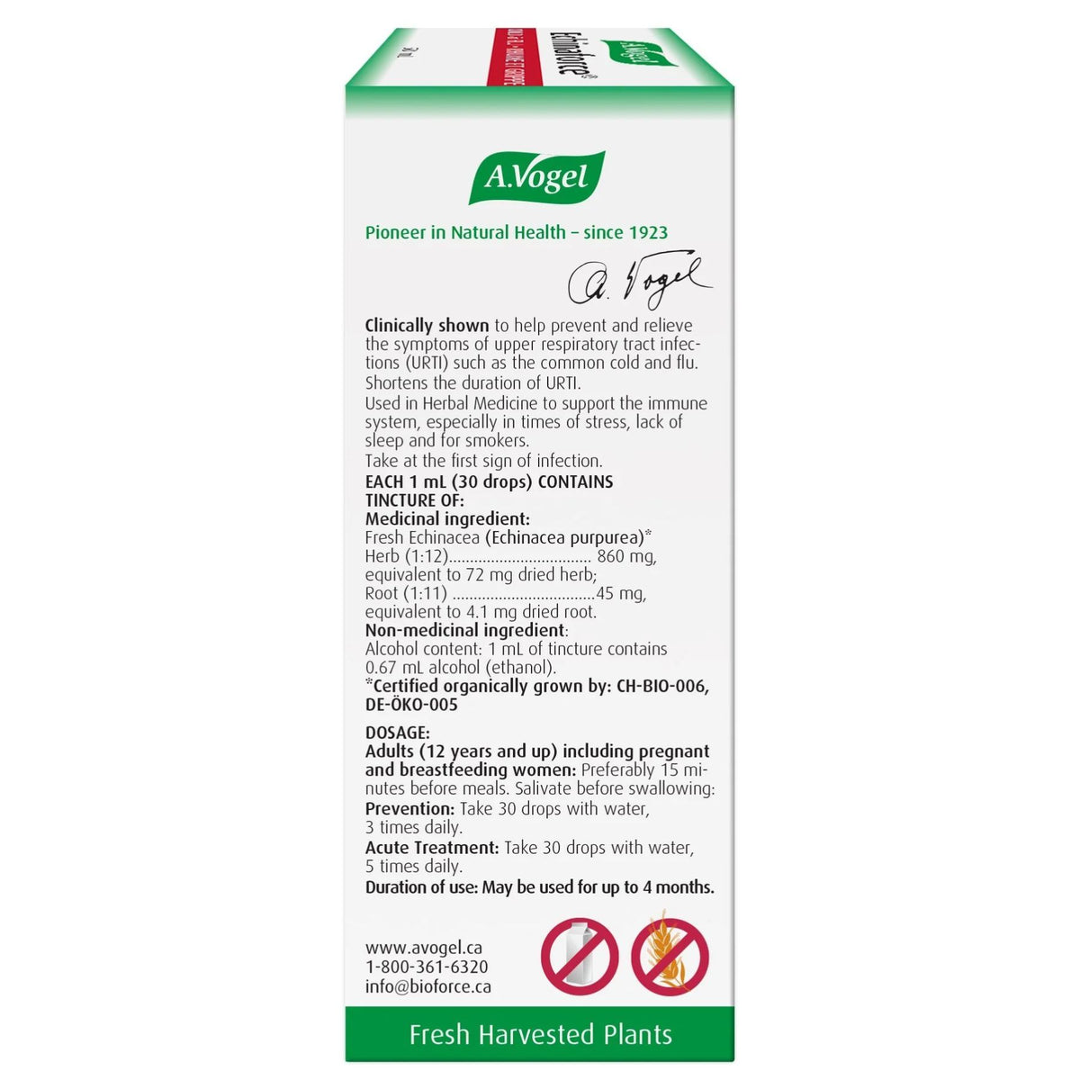 A.Vogel Echinaforce Liquid 100ml