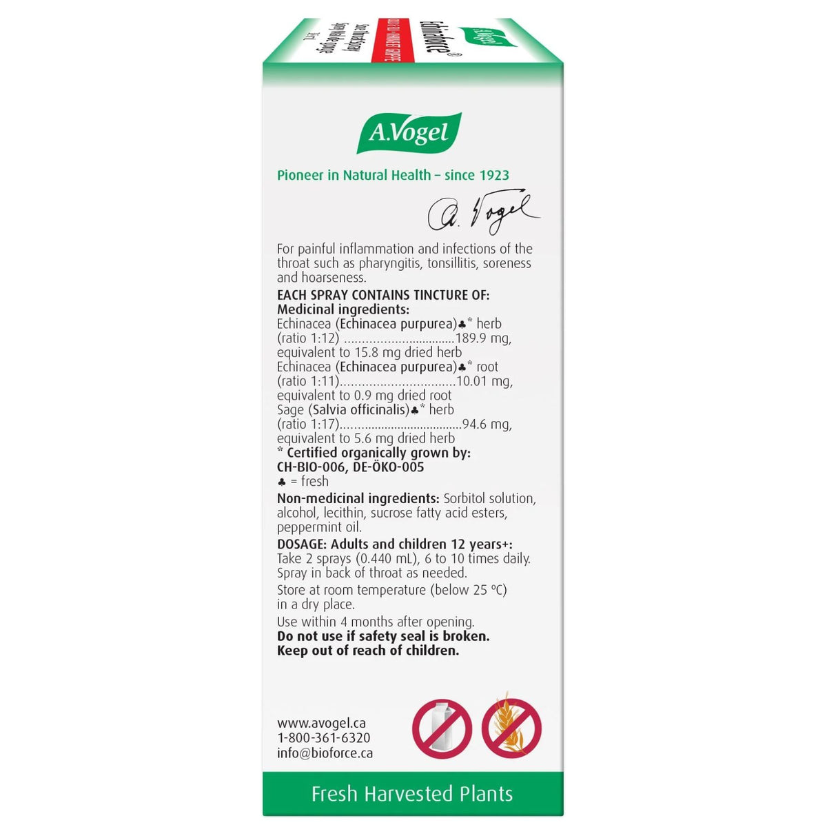 A.Vogel Echinaforce Sore Throat Spray 30ml
