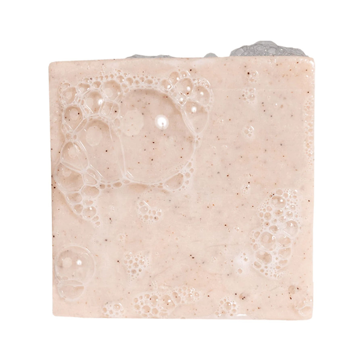 Dr. Squatch Men's Bar Soap Birchwood Breeze 141g