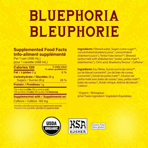 Guayaki Organic Yerba Mate Bluephoria Tea 458mL