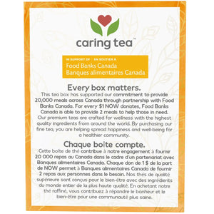 NOW Caring Tea Organic Turmeric Ginger 24ct