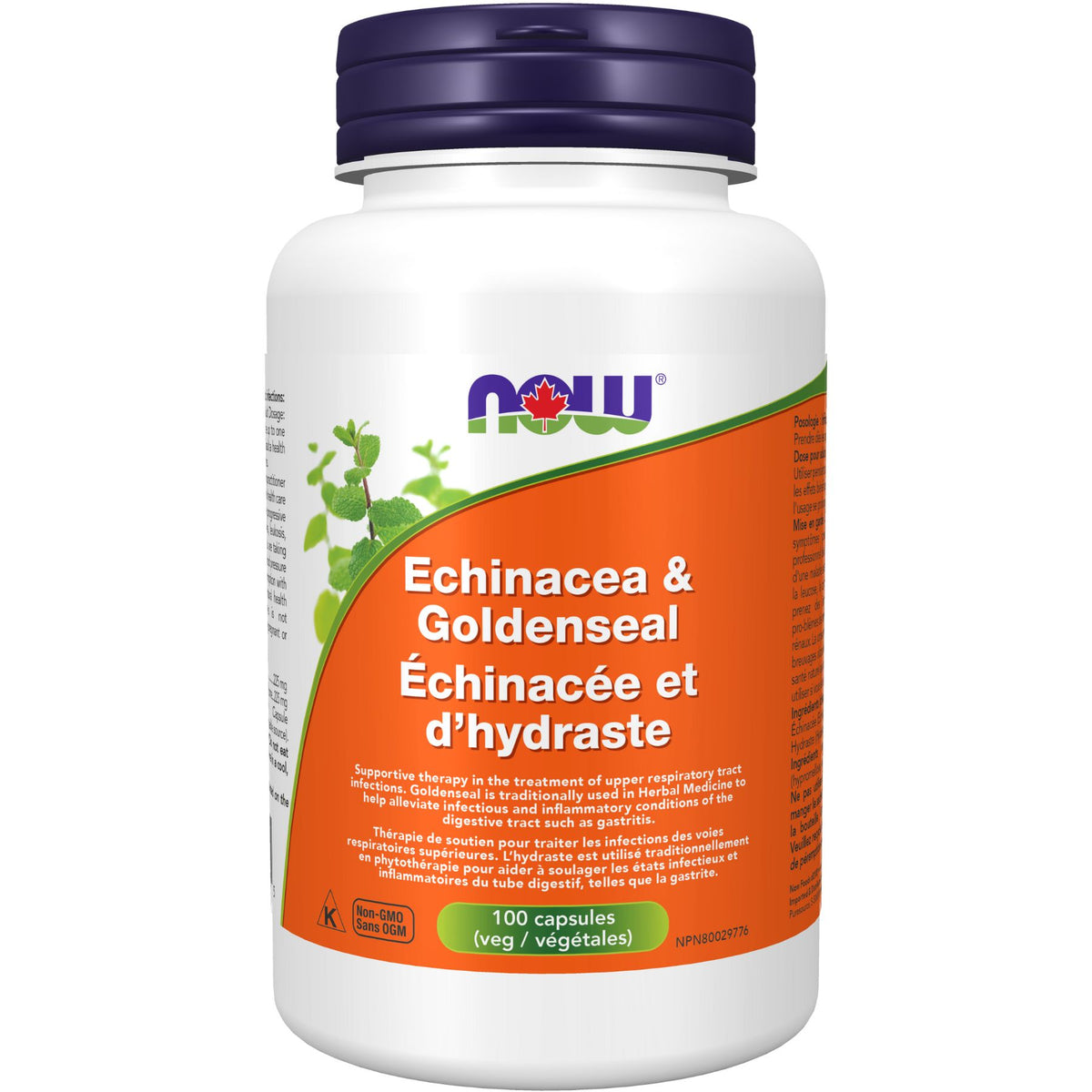 NOW Echinacea & Goldenseal Capsules 100s