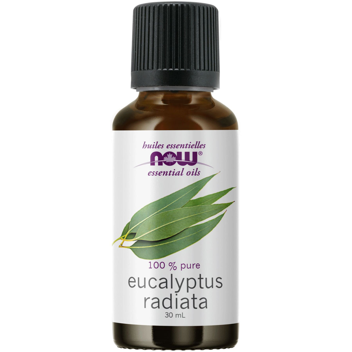 NOW 100% Pure Eucalyptus Radiata Essential Oil 30mL
