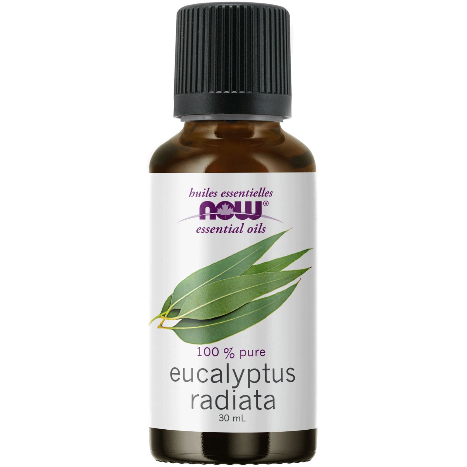 NOW 100% Pure Eucalyptus Radiata Essential Oil 30mL
