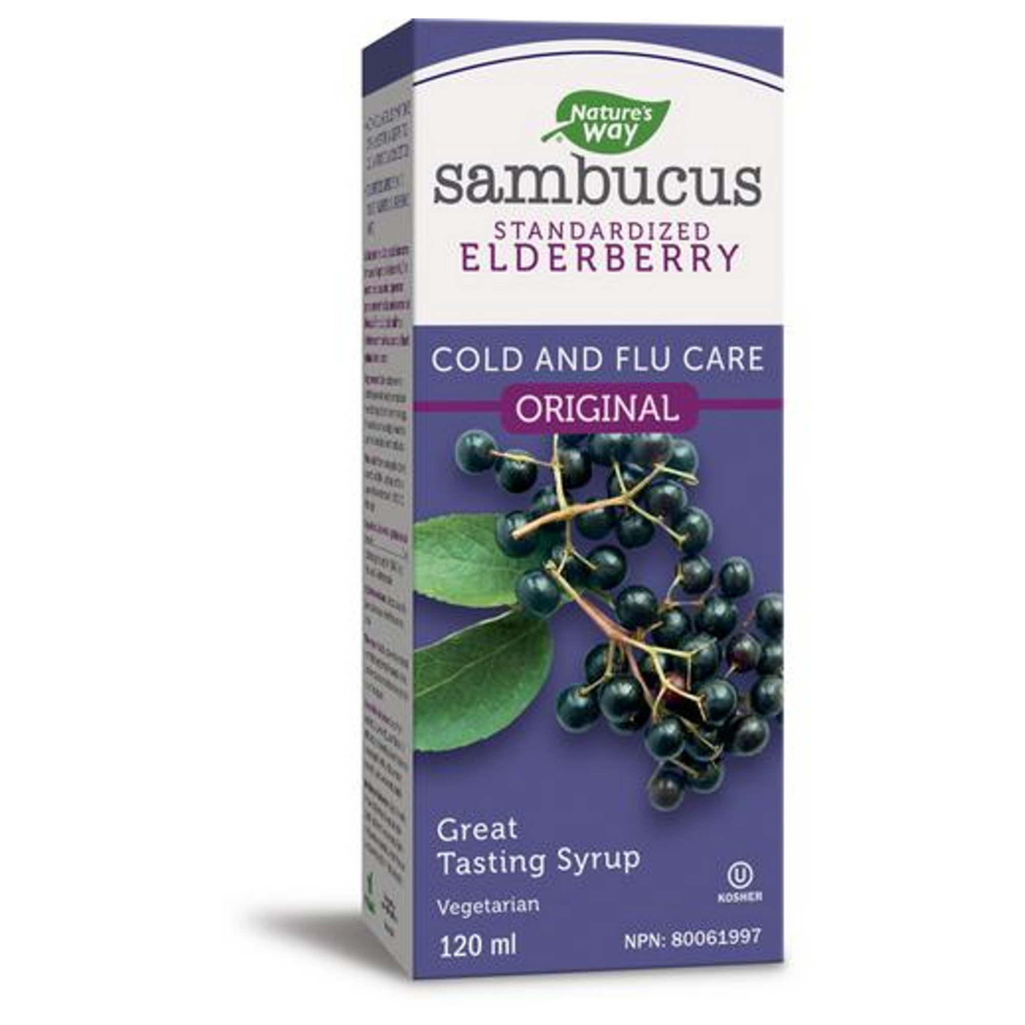 Nature's Way Original Sambucus Cold and Flu Care Syrup 120ml