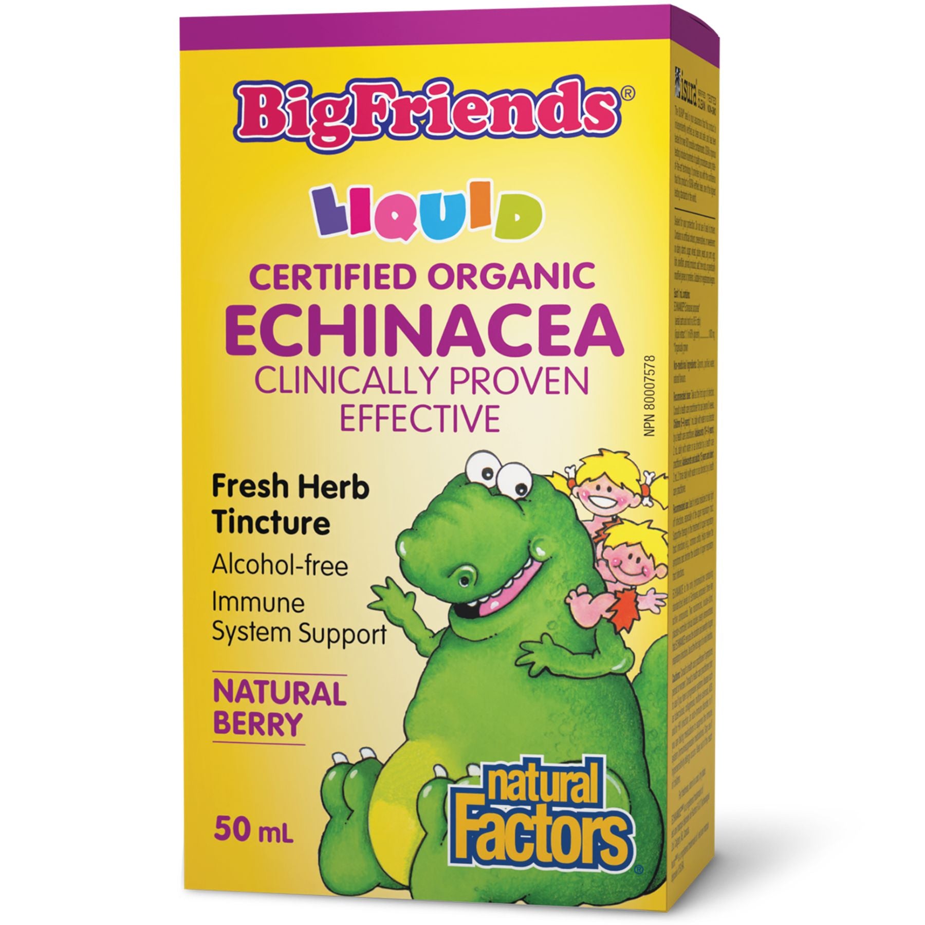 Natural Factors Big Friends Echinacea Tincture 50ml