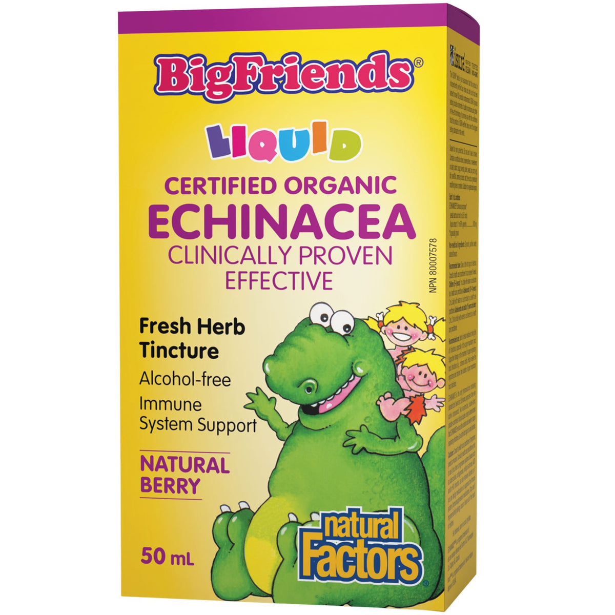 Natural Factors Big Friends Echinacea Tincture, Alcohol-free 50mL