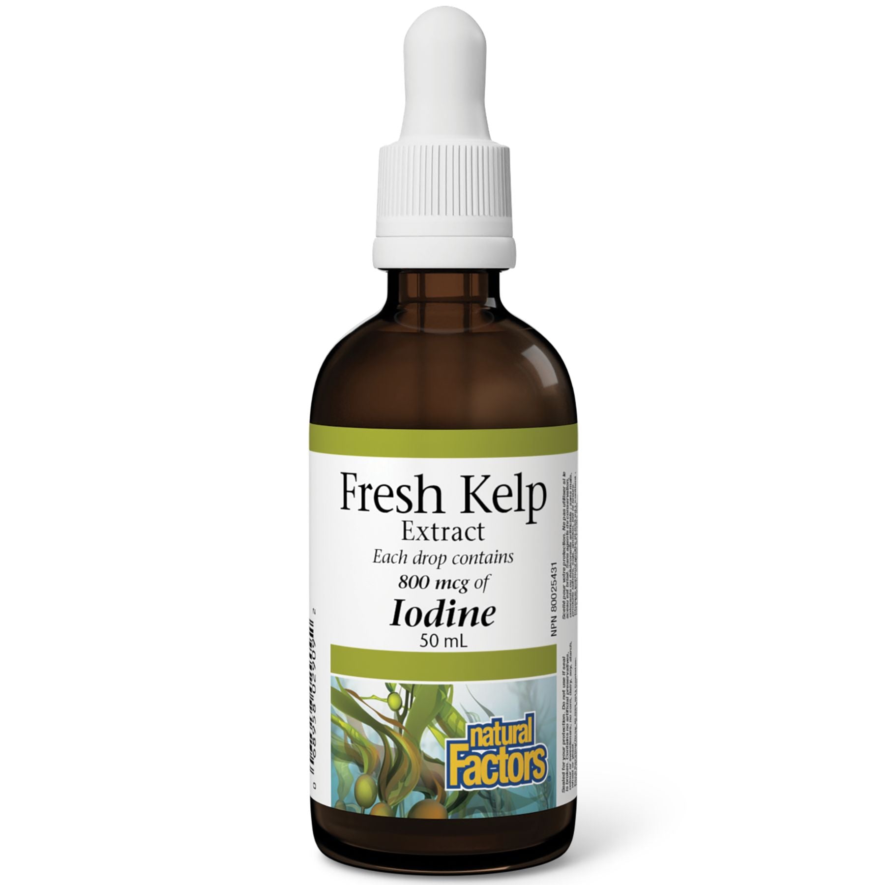 Natural Factors Fresh Kelp Extract 50ml