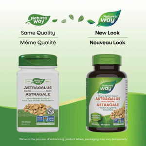 Nature's Way Astragalus Root 100s