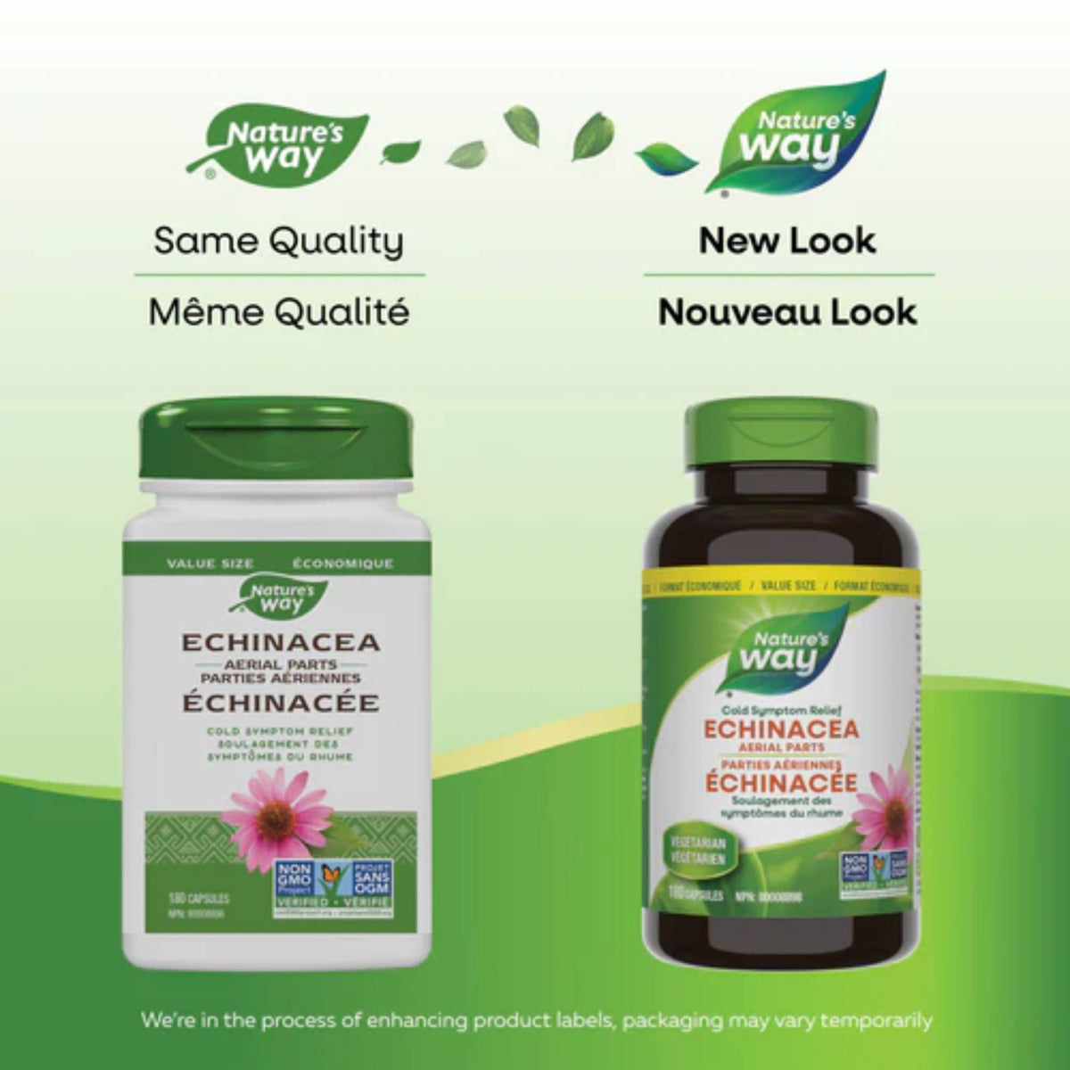 Nature's Way Echinacea 180s