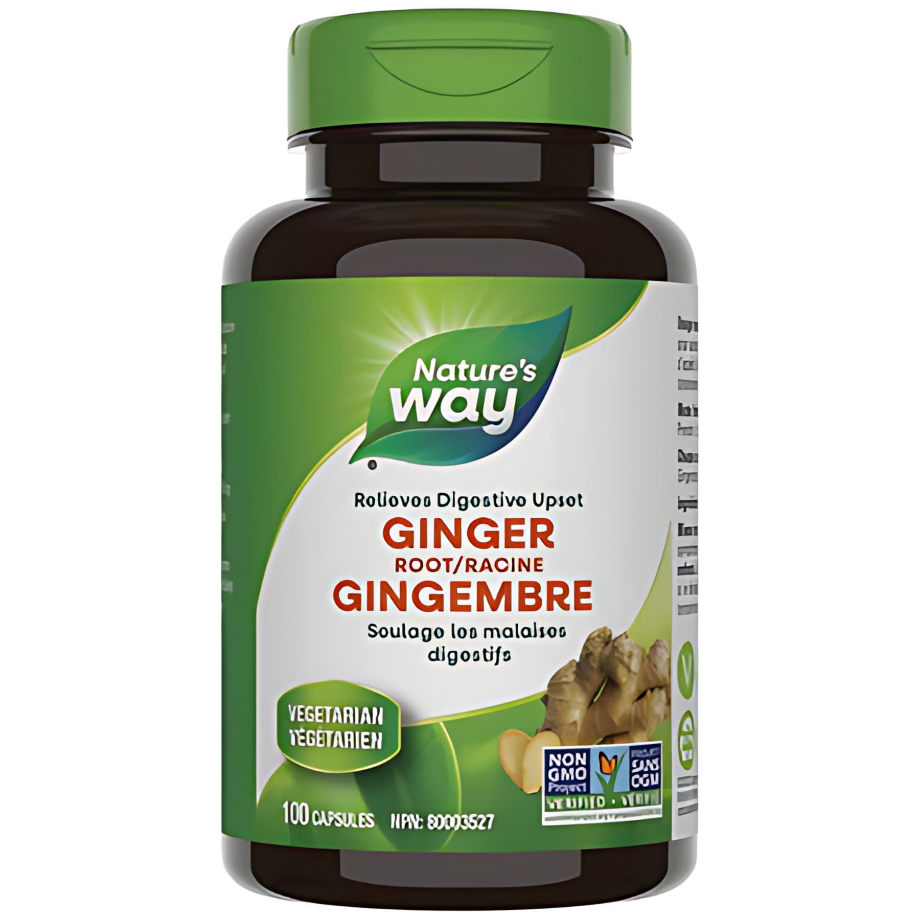 Nature's Way Ginger Root 100s