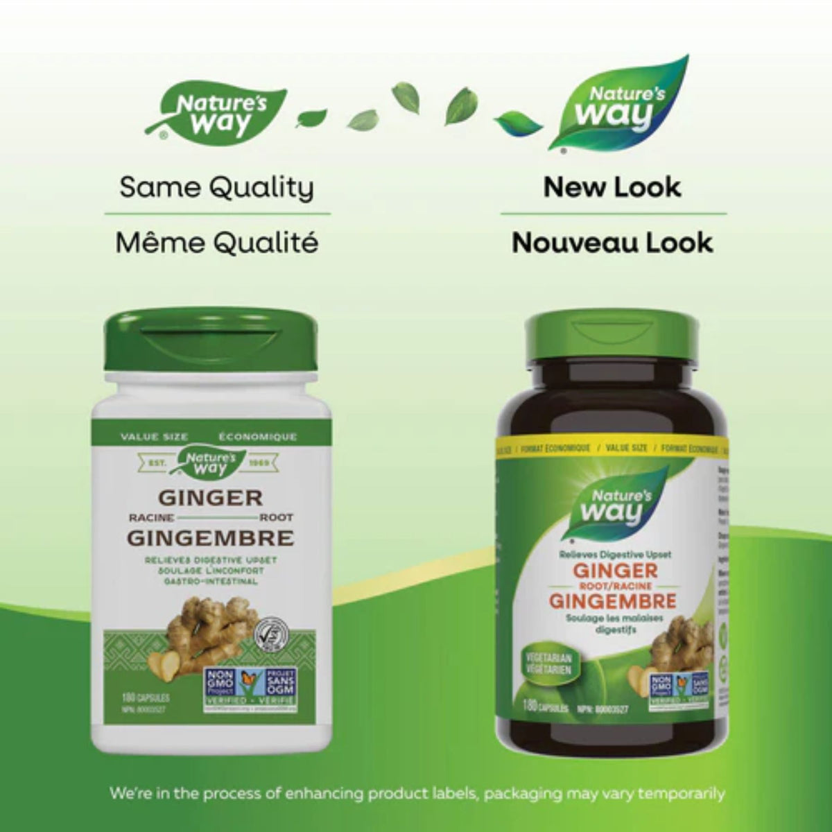 Nature's Way Ginger Root 180s (VALUE SIZE)