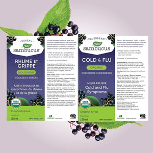 Nature's Way Sambucus Organic Elderberry Cold & Flu Syrup 120ml