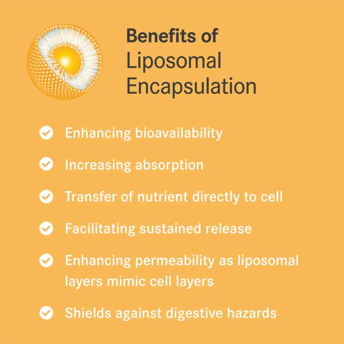 Pascoe Vitapas C Liposomal 90s