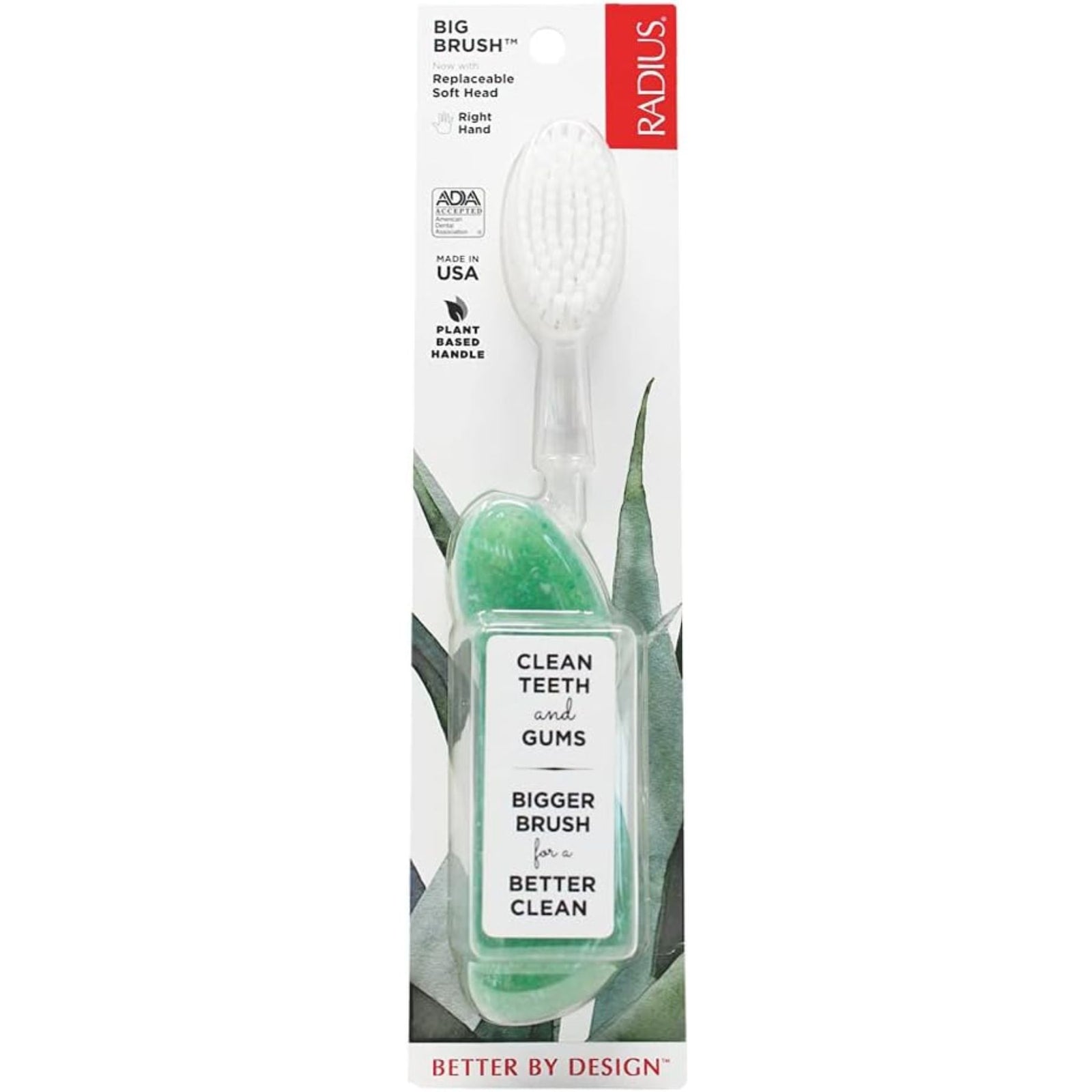 Radius Big Brush Toothbrush with Replaceable Head, Right Hand 1ct