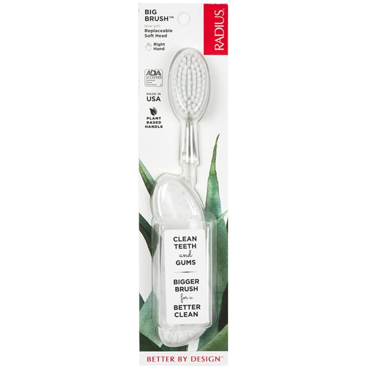 Radius Big Brush Toothbrush with Replaceable Head, Right Hand 1ct
