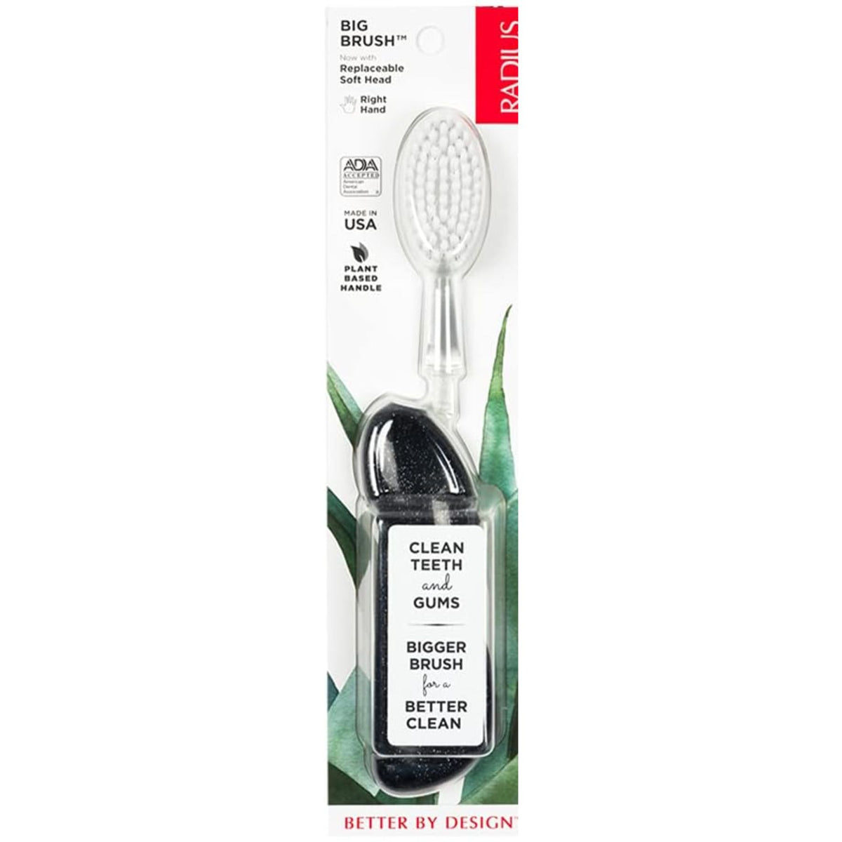 Radius Big Brush Toothbrush with Replaceable Head, Right Hand 1ct