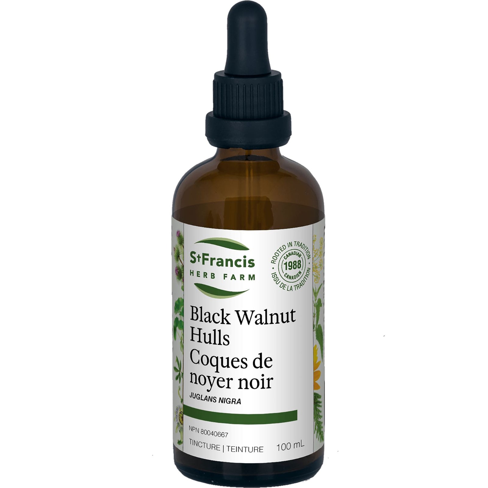 St. Francis Black Walnut Hulls 100ml