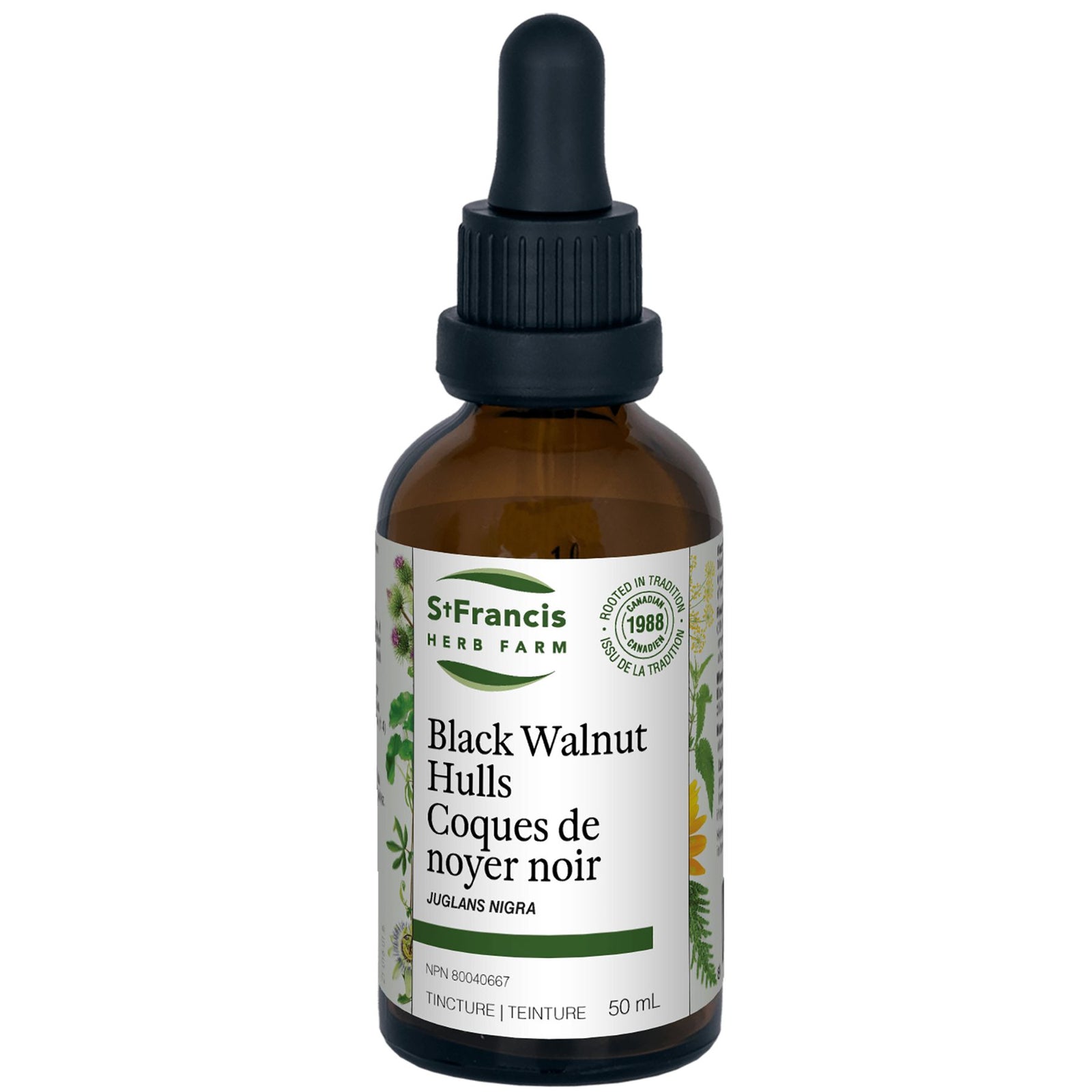 St. Francis Black Walnut Hulls 50ml