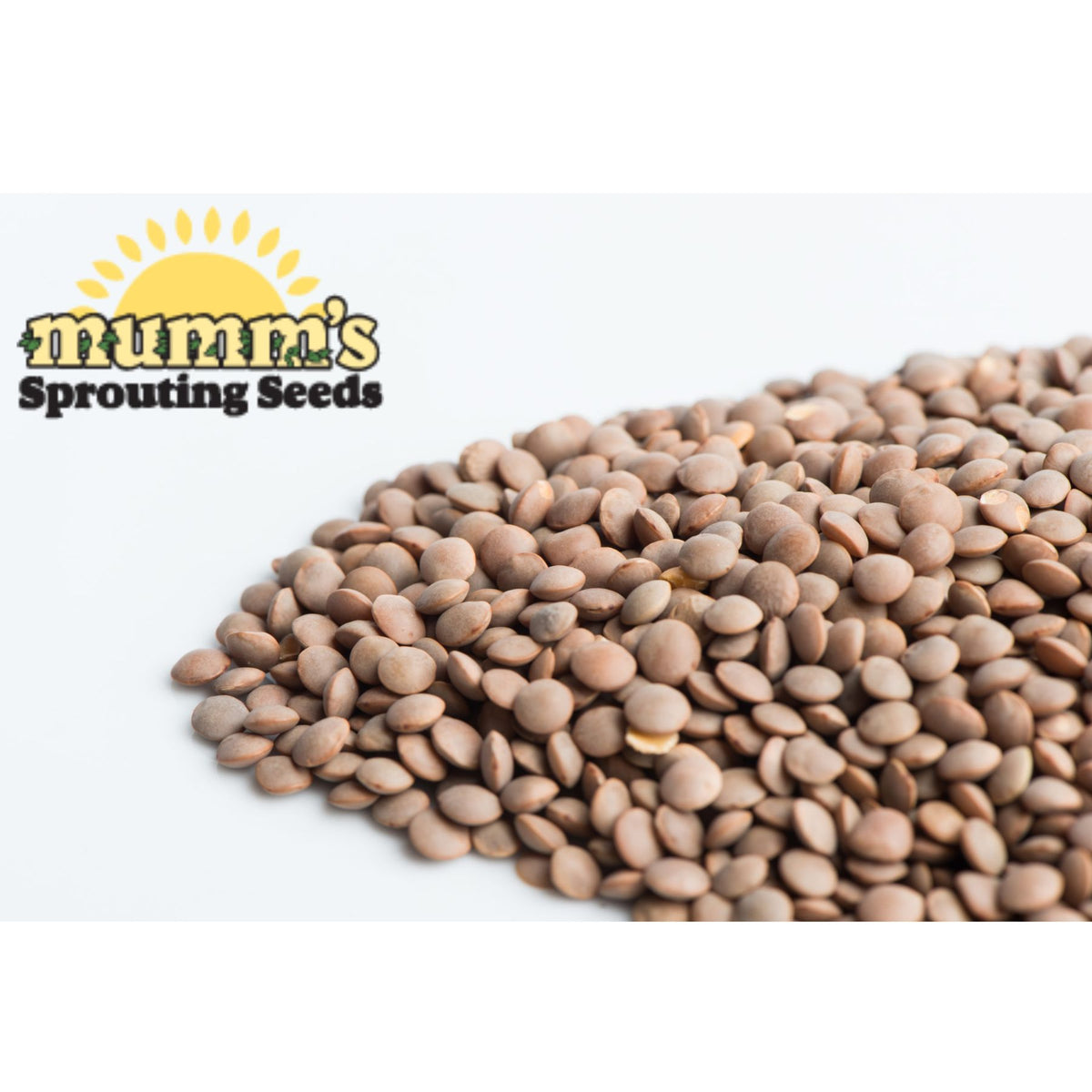 Mumm's Sprouting Seeds Lentils, Crimson 125g