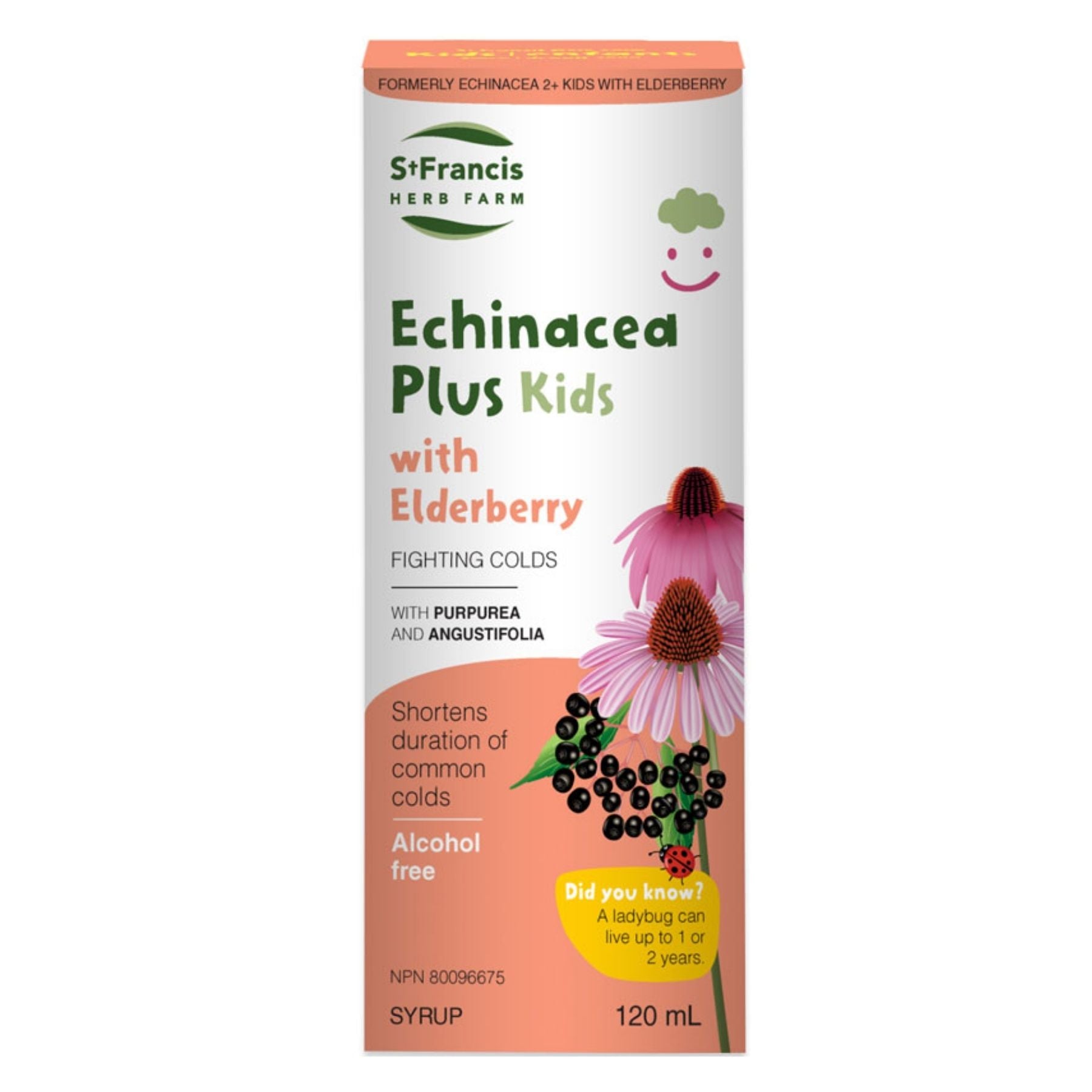 St Francis Echinacea Plus for Kids formulated with Elderberry - An alcohol free cough syrup to help shorten the duration of common colds - 120mL bottle. 