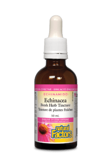 Natural Factors Anti-Cold Echinamide 50ml