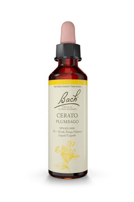 Bach Cerato 20ml