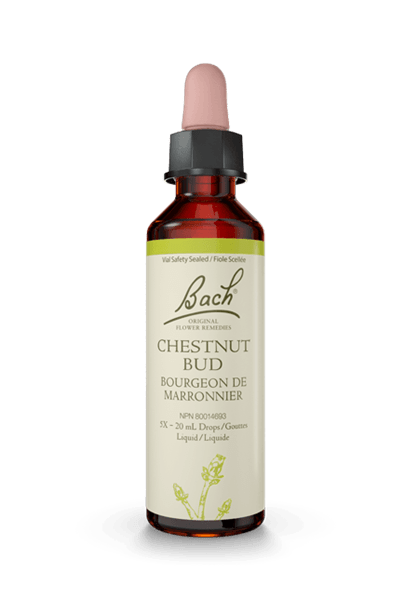 Bach Chestnut Bud 20ml