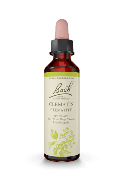 Bach Clematis 20ml