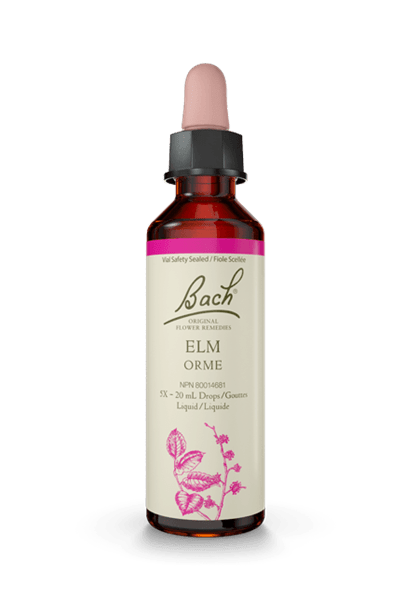 Bach Elm 20ml