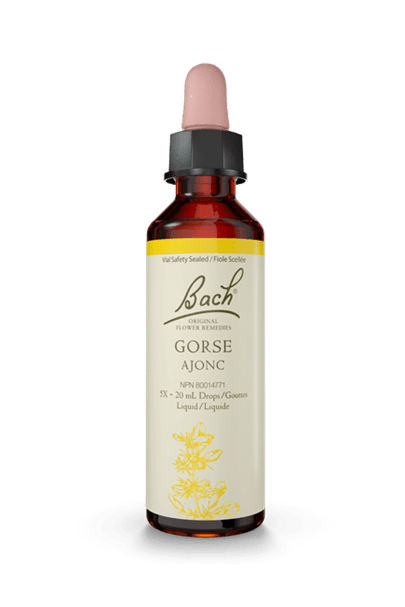 Bach Gorse 20ml
