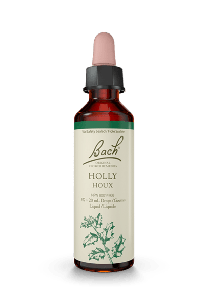 Bach Holly 20ml