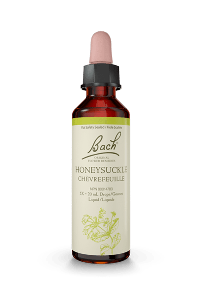 Bach Honeysuckle 20ml