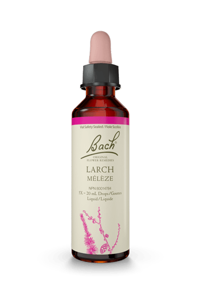 Bach Larch 20ml