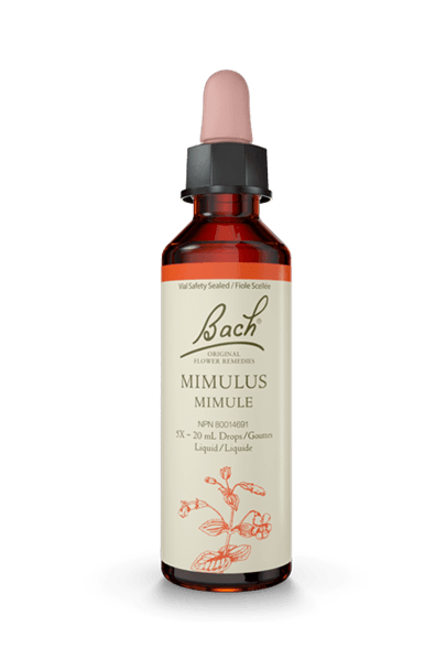 Bach Mimulus 20ml
