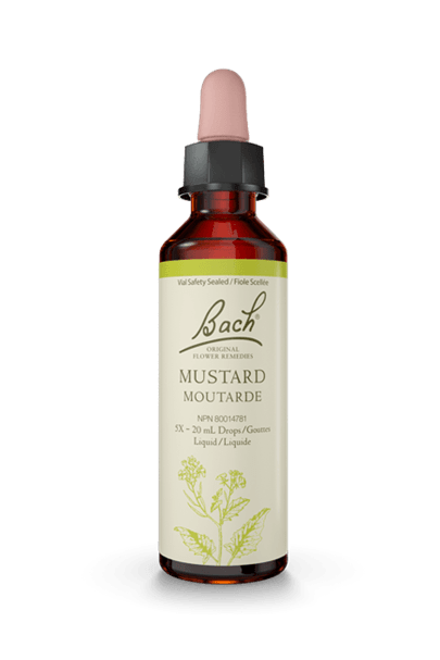 Bach Mustard 20ml