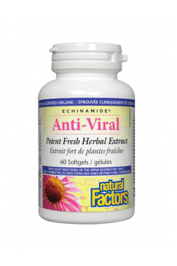 Natural Factors Echinamide Anti-Viral Potent Fresh Herbal Extract 60s