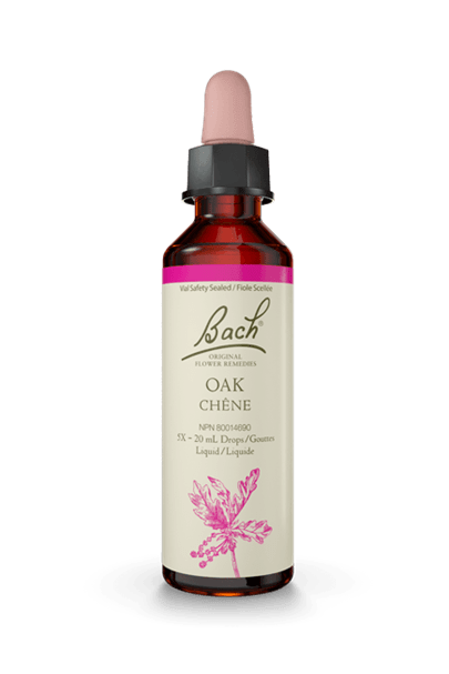 Bach Oak 20ml