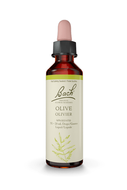 Bach Olive 20ml