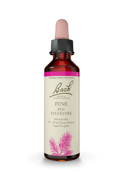 Bach Pine 20ml