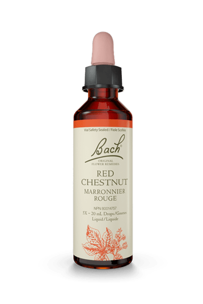 Bach Red Chestnut 20ml