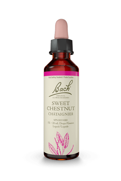Bach Sweet Chestnut 20ml
