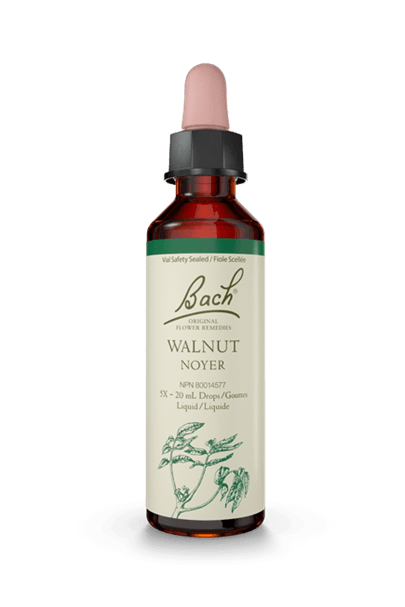 Bach Walnut 20ml