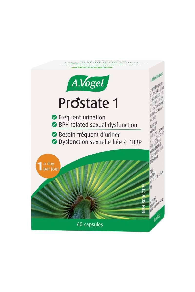 A.Vogel Prostate 1 60s