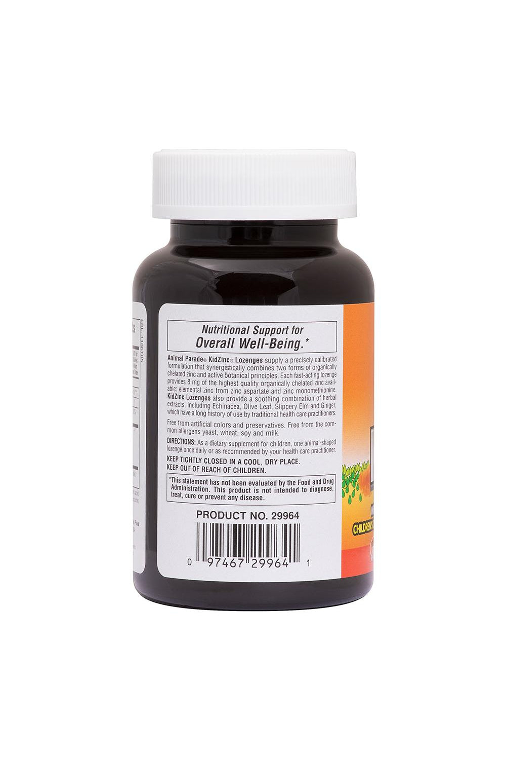 Animal Parade Kids Zinc Lozenges 90s