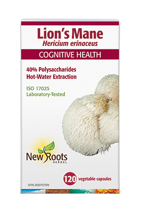 New Roots Lion's Mane 120s