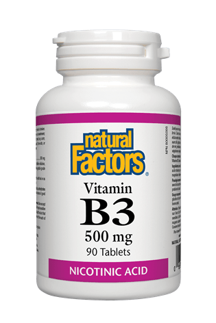 Natural Factors Vitamin B3 500 mg 90s